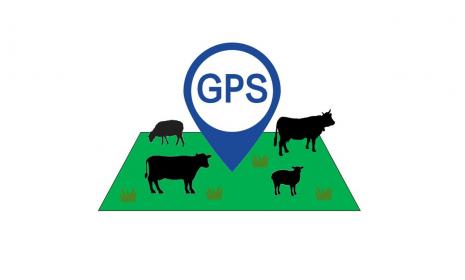 GPS logo in a field of grass and farm animals