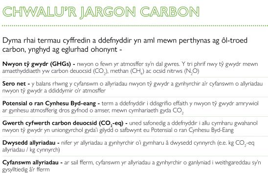 Chwalu’r Jargon Carbon