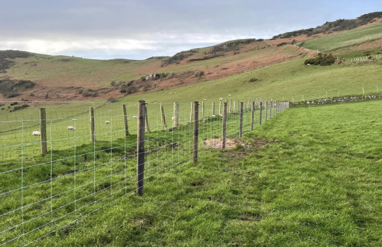 Fencing and Gate Installation