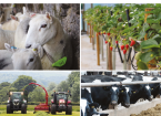 EIP Wales - Collaborating for rural success - April 2023