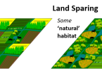 Land sparing and land sharing 