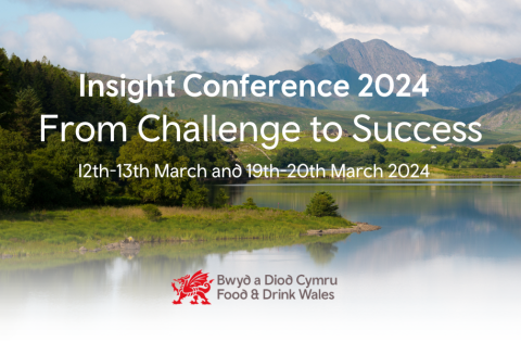 Insight Conference 2024 