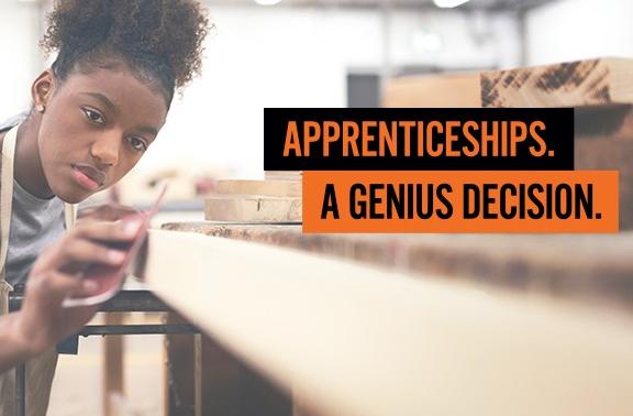 Apprenticeships Genius Decision